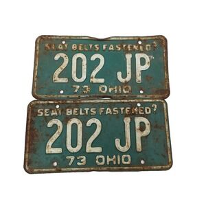 Vintage Original 1973 OHIO License Plate - 'SEAT BELTS FASTENED?' 202 JP (9-1)